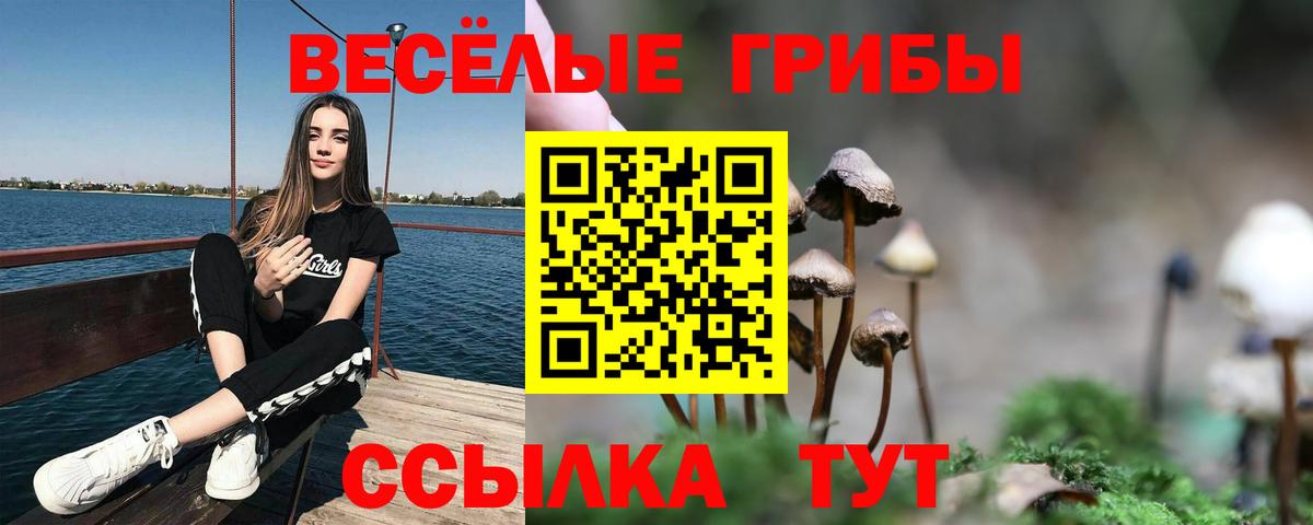 Псилоцибиновые грибы GOLDEN TEACHER Черняховск